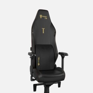 How Long Does Secretlab Chair Last? - The Gamer Collective